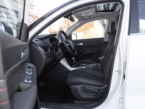 202020TGDI Ԅӕr ǰſg