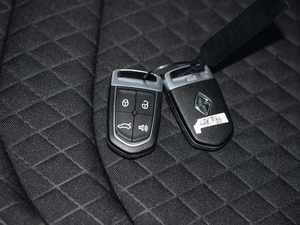 202020TGDI Ԅӕr ܇耳