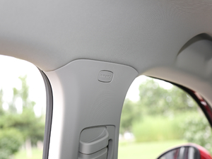 202020TGDI Ԅ(dng)I(lng) g