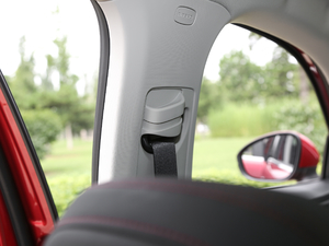 202020TGDI Ԅ(dng)I(lng) g