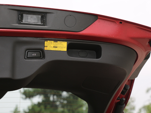 202020TGDI Ԅ(dng)I(lng) g