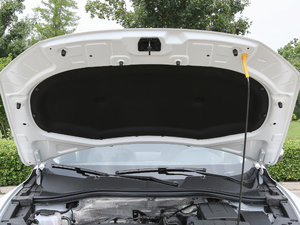 202020TGDI Ԅ(dng)M(jn)ȡ 