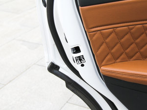 201628TGDI (q)Ş 6 g