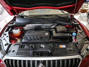 201725TGDI Ԅ(dng)(q)L(fng)plus l(f)(dng)C(j)