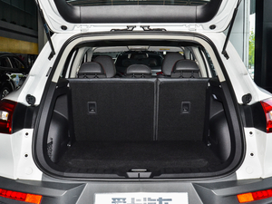 201725TGDI ԄӃ(q)Lplus g