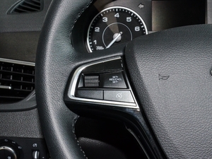 201725TGDI Ԅ(dng)(q)L(fng)plus п؅^(q)