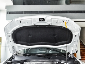 201725TGDI ԄӃLplus 