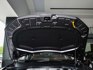 201725TGDI ԄӃ(q)hJ 