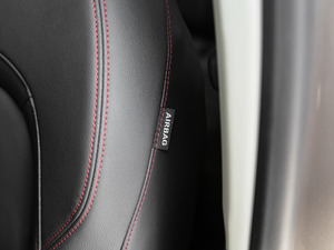 201825TGDI (q)L(fng) g