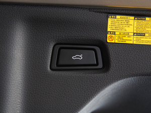 201825TGDI (q)L(fng) g