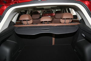 201820TGDI Ԅ(dng)h g