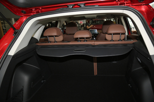 201820TGDI Ԅ(dng)h g