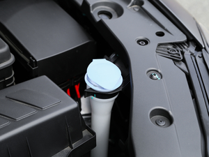 201828TGDI TS (q)A V 