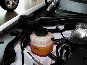 201828TGDI (q)|(zh) 5 V 