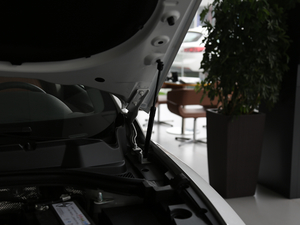 201828TGDI (q)A 5 (gu)V 