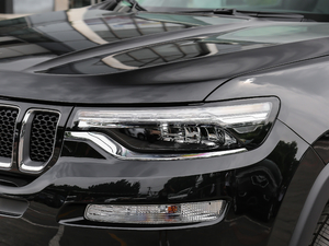 20182.0T (q) V (ji)^