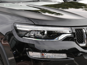 20182.0T (q) V (ji)^