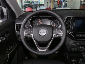 2019款2.0T 四驱探享版 国V 方向盘