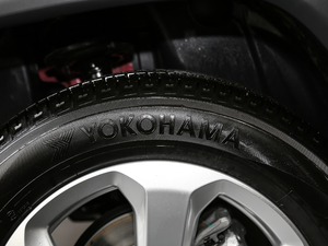 2019200T ԄӼ-(lin)W(wng) V ݆̥Ʒ