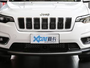 2020款2.0T 四驱豪华版 中网