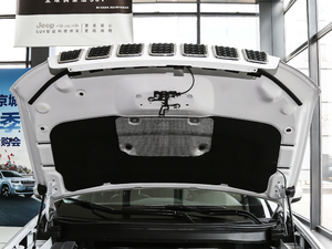 2020款2.0T 四驱豪华版 其它