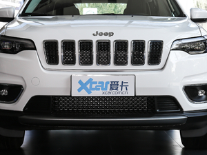 2020款2.0T 两驱领先版 中网