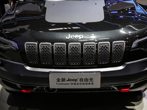 2020款2.0T 四驱高性能旗舰版 中网