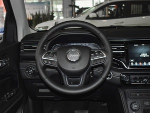 2020款2.0T 领先版 方向盘