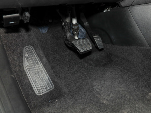 2021220T Ԅ80o п؅^