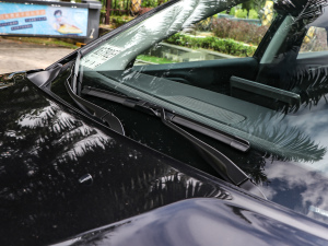 2021220T Ԅ(dng)(q)Ӣ ˢ