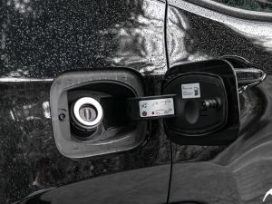 2021220T Ԅ(dng)(q)Ӣ w