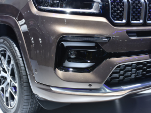 20212.0T (q)Ş (x)(ji)^