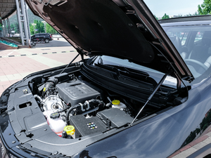 2018款2.0T 两驱进享版 国V 其它