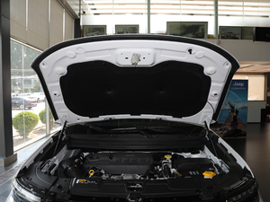 2018款2.0T 四驱尊享版 国V 其它
