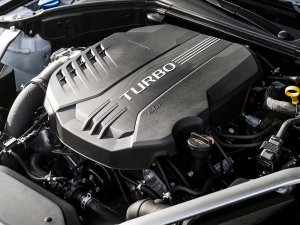 2021��2.0T ���(q��)��Ş�� ����