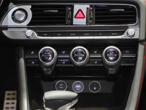 2021��2.0T �����Ş�� ���{�{��