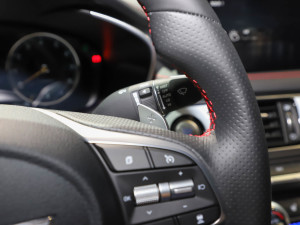 2021��2.0T �����Ş�� �п؅^