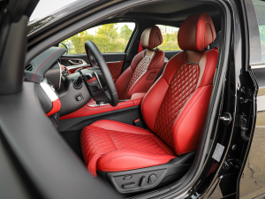 2021��2.0T ���(q��)��Ş�� ���{�����