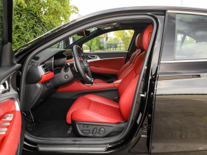 2021��2.0T ���(q��)��Ş�� ǰ�ſ��g