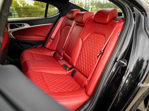 2021��2.0T ���(q��)��Ş�� ��������