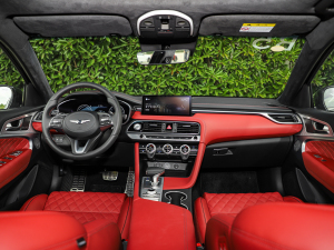 2021��2.0T ���(q��)��Ş�� ��(n��i)�ȫ��