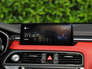 2021��2.0T �����Ş�� �п��_�@ʾ��