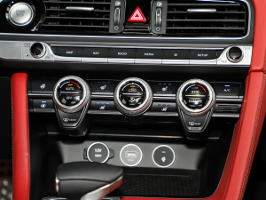 2021��2.0T �����Ş�� ����{��(ji��)