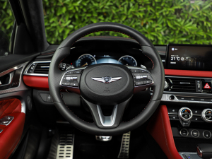 2021��2.0T ���(q��)��Ş�� ����P