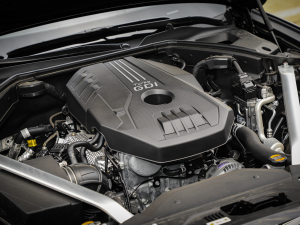 2021��2.0T ���(q��)��Ş�� ����