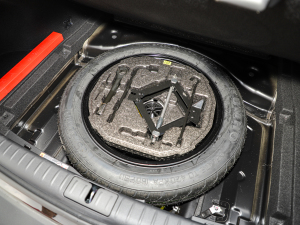 2021��2.0T ���(q��)��Ş�� ��̥