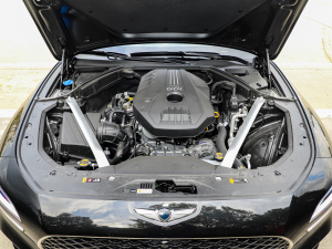 2021��2.0T ���(q��)��Ş�� �l(f��)��(d��ng)�C(j��)