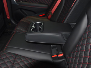 2021��2.0T Edition 1 �޶��� �����������