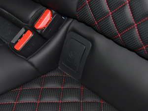 2021��2.0T Edition 1 �޶��� ���g����