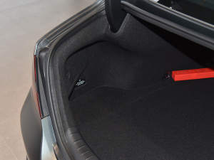 2021��2.0T Edition 1 �޶��� ���g����